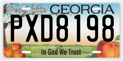 GA license plate PXD8198