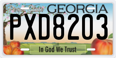 GA license plate PXD8203