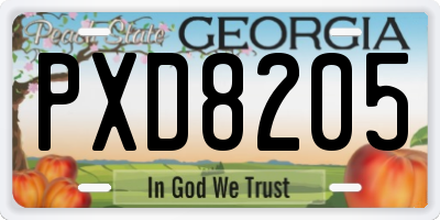 GA license plate PXD8205