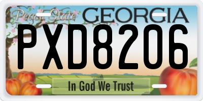 GA license plate PXD8206