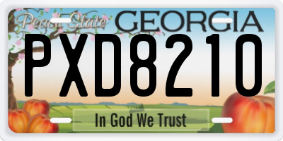 GA license plate PXD8210