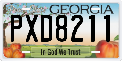 GA license plate PXD8211