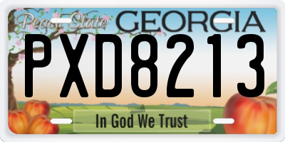 GA license plate PXD8213