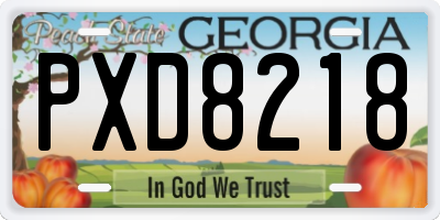 GA license plate PXD8218
