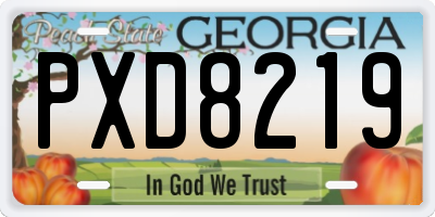 GA license plate PXD8219