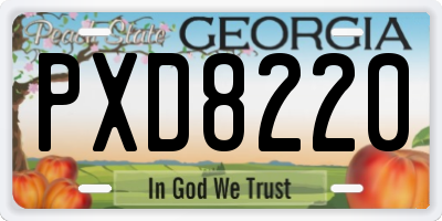 GA license plate PXD8220