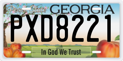 GA license plate PXD8221