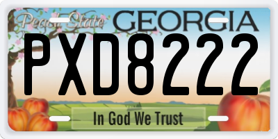 GA license plate PXD8222