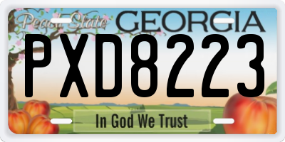 GA license plate PXD8223