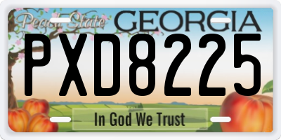 GA license plate PXD8225
