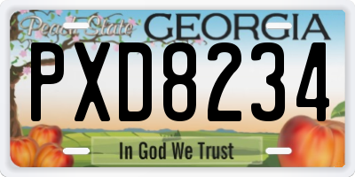 GA license plate PXD8234