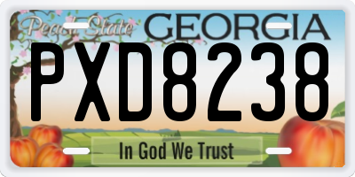 GA license plate PXD8238