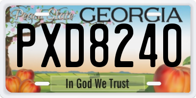 GA license plate PXD8240