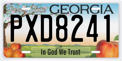 GA license plate PXD8241