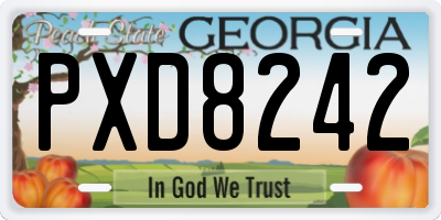 GA license plate PXD8242