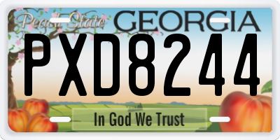 GA license plate PXD8244