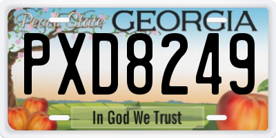 GA license plate PXD8249