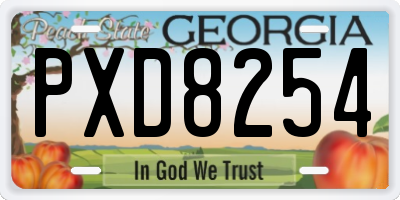 GA license plate PXD8254