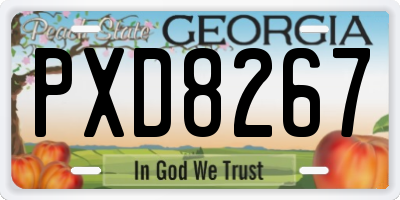 GA license plate PXD8267