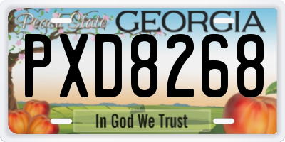 GA license plate PXD8268