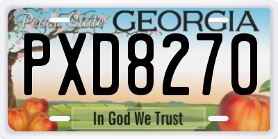 GA license plate PXD8270