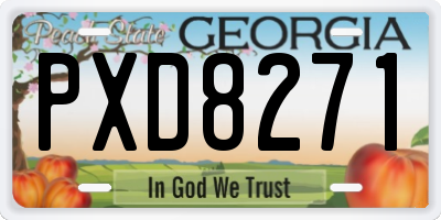 GA license plate PXD8271