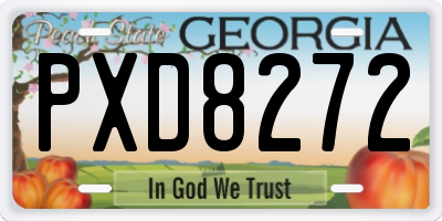 GA license plate PXD8272
