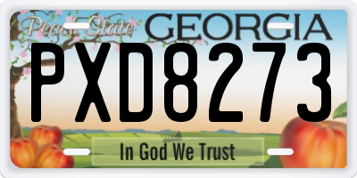 GA license plate PXD8273