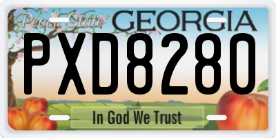 GA license plate PXD8280
