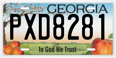 GA license plate PXD8281