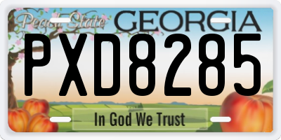 GA license plate PXD8285