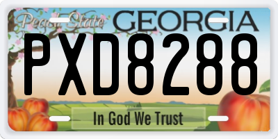 GA license plate PXD8288