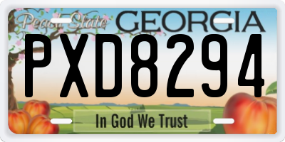 GA license plate PXD8294