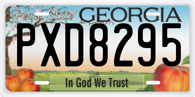 GA license plate PXD8295