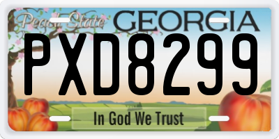 GA license plate PXD8299