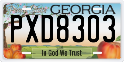 GA license plate PXD8303