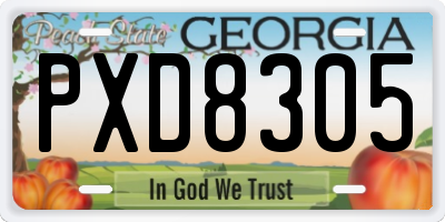 GA license plate PXD8305