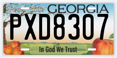 GA license plate PXD8307