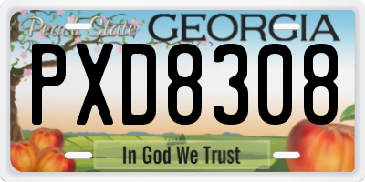 GA license plate PXD8308