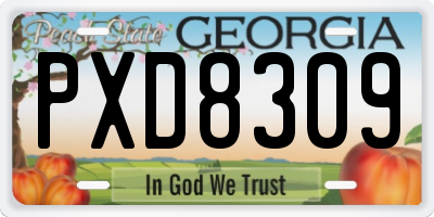 GA license plate PXD8309