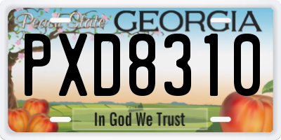 GA license plate PXD8310
