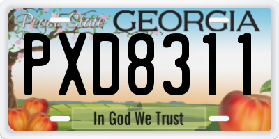 GA license plate PXD8311