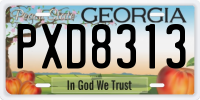 GA license plate PXD8313