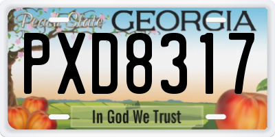 GA license plate PXD8317