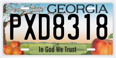 GA license plate PXD8318