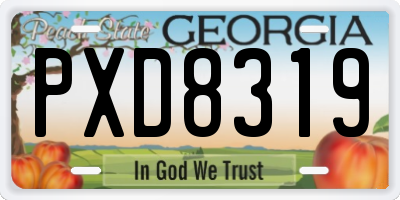 GA license plate PXD8319
