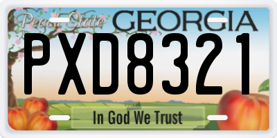GA license plate PXD8321
