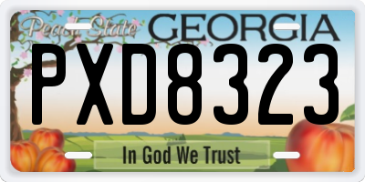GA license plate PXD8323