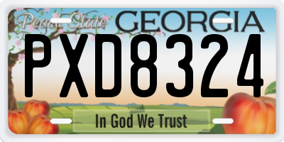 GA license plate PXD8324