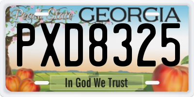 GA license plate PXD8325